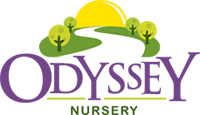 logo of Odyssey Nursery Abu Dhabi