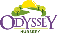 logo of Odyssey Nursery Dubai